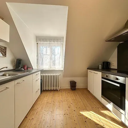 Appartement Le Vicus à Eckbolsheim Extérieur photo
